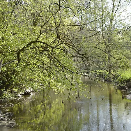 Pet-friendly Escape In *