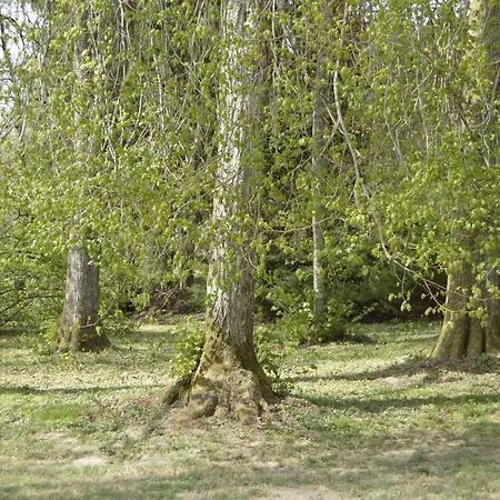 Pet-friendly Escape In