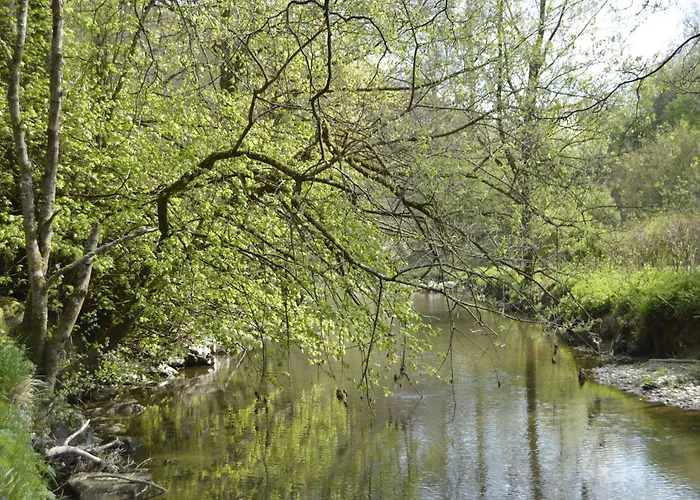 Pet-friendly Escape In *