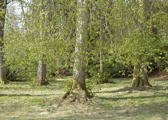 Pet-friendly Escape In