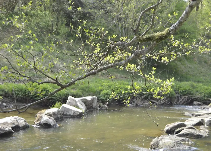 Сasa de vacaciones Pet-friendly Escape In Fauvillers